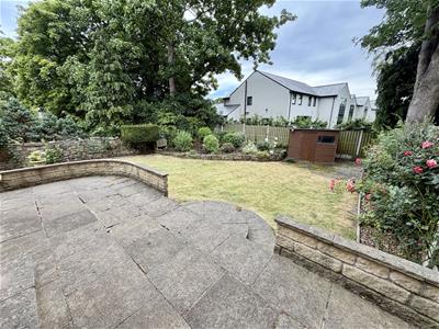 Picture 24